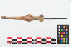 Foto von Beinnadelspitzenschoner (NHMW-PRAE-025364)